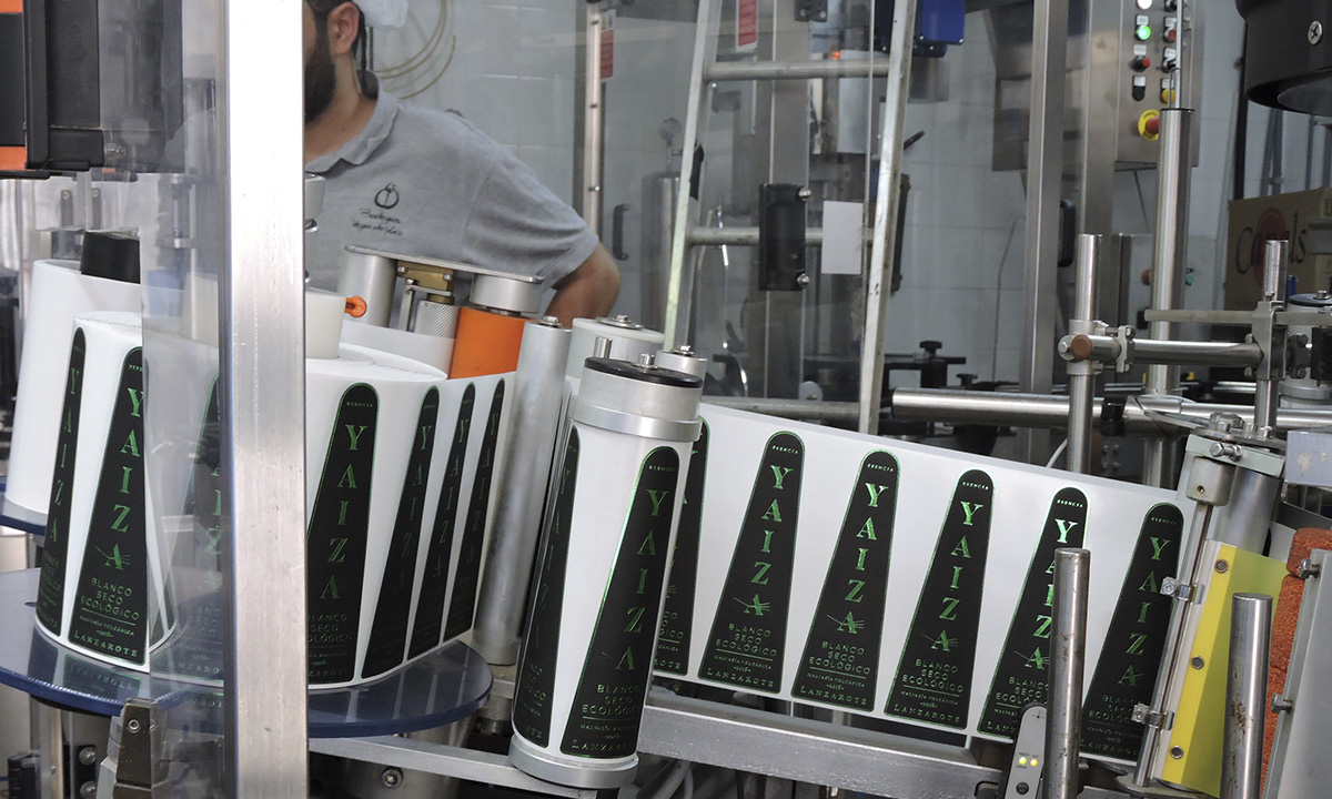 Vegadeyuco.com Bodegas y viñedos en La Geria Lanzarote