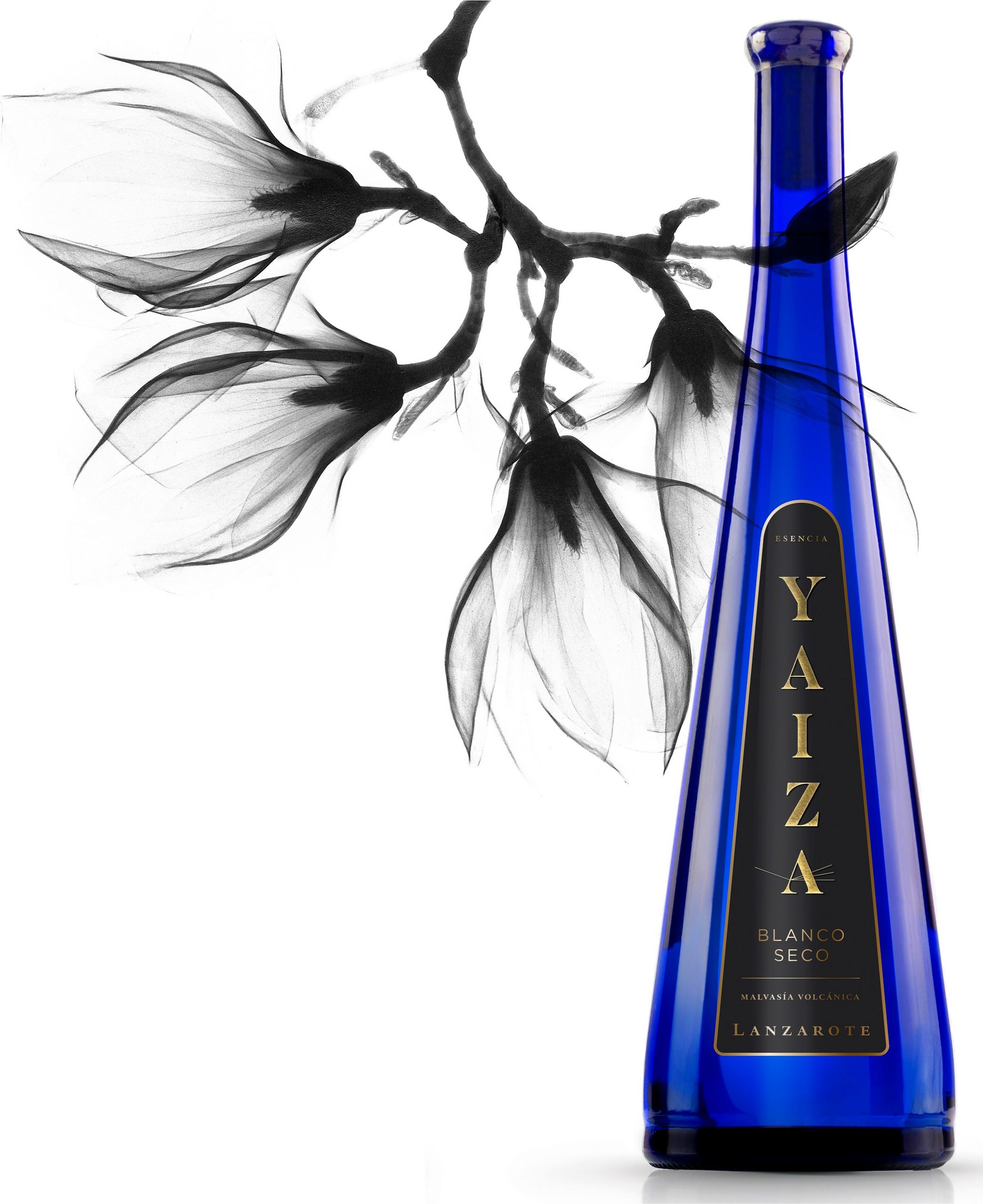 Malvasía Volcánica - Yaiza Blanco seco 2019