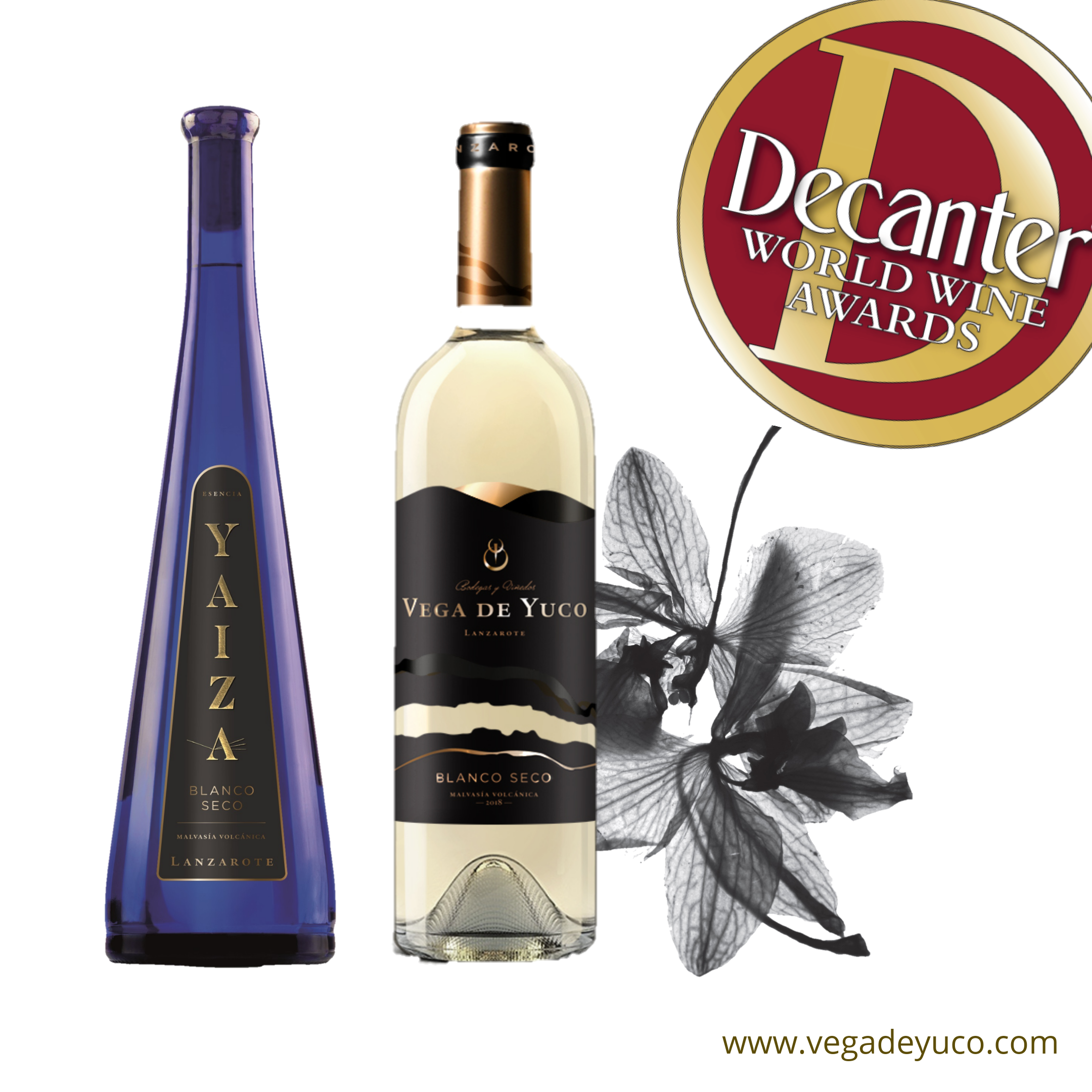Premios Decanter Lanzarote