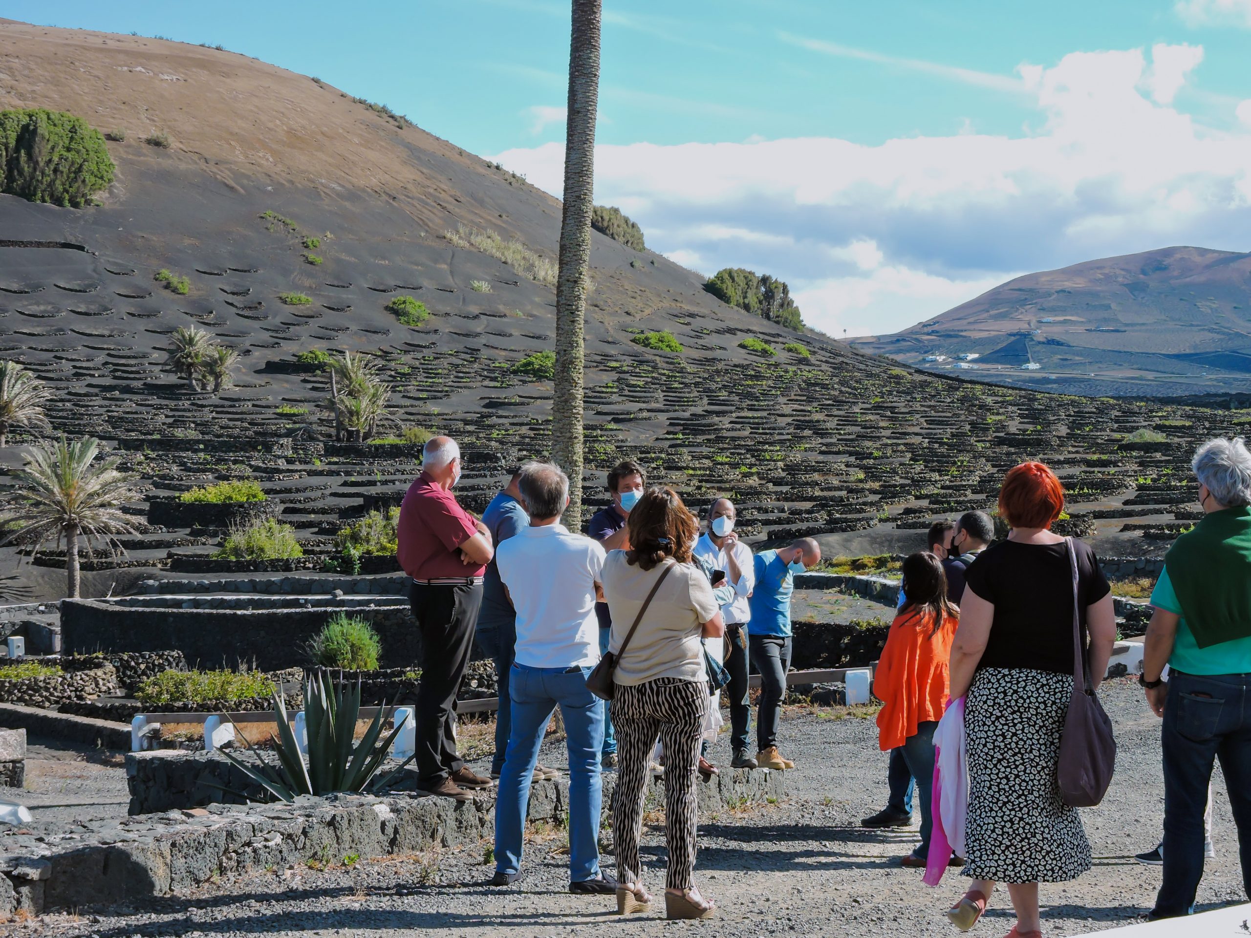 Enoturismo Lanzarote