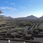 Visita Finca Testeina