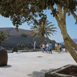 Visita Finca Testeina