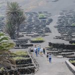Visita Finca Testeina