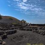 Visita Finca Testeina