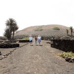 Visita Finca Testeina