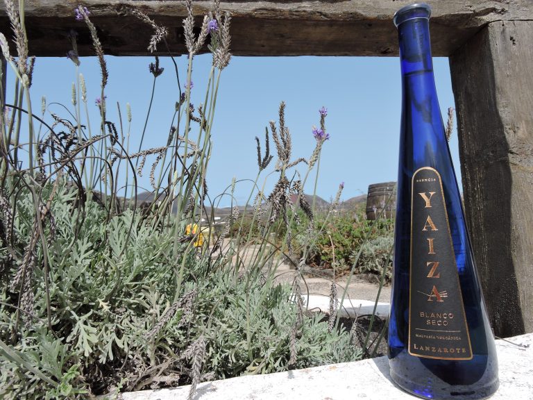 Primer vino embotellado 2021