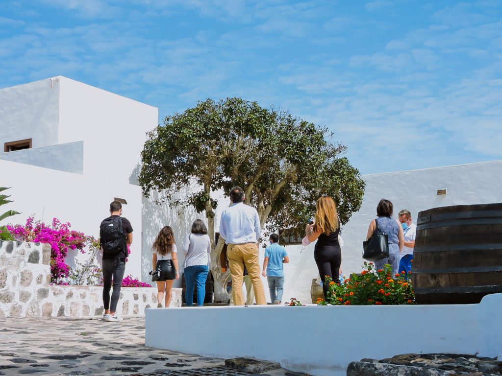 Enoturismo Vega de Yuco