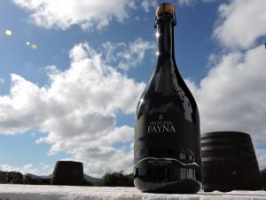 Espumoso Brut Nature Vega de Yuco