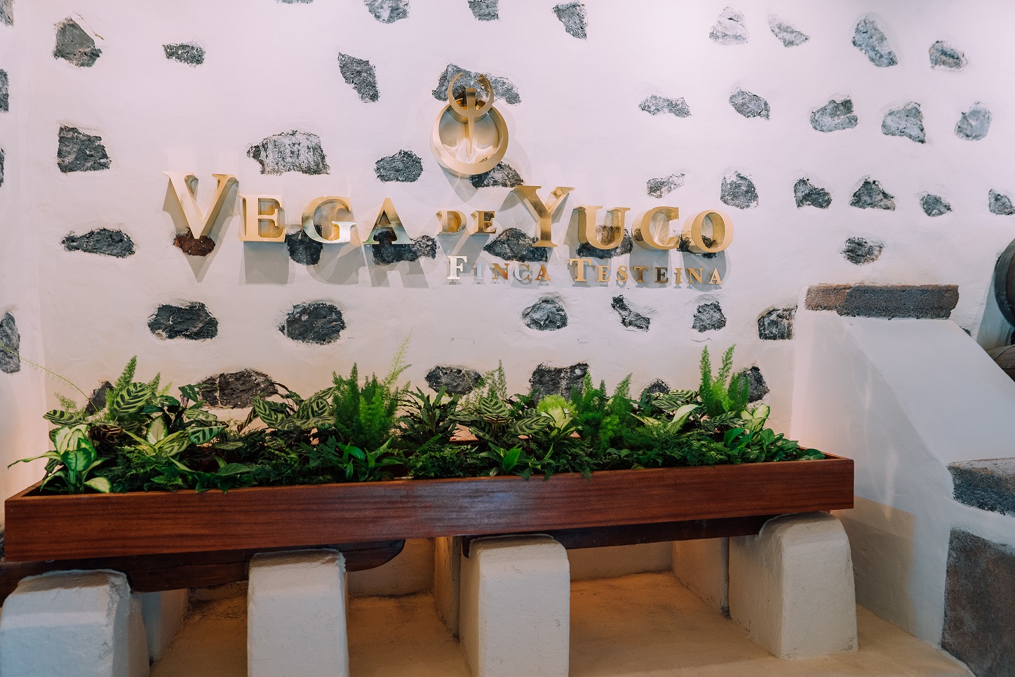 Aniversario Bodegas Vega de Yuco