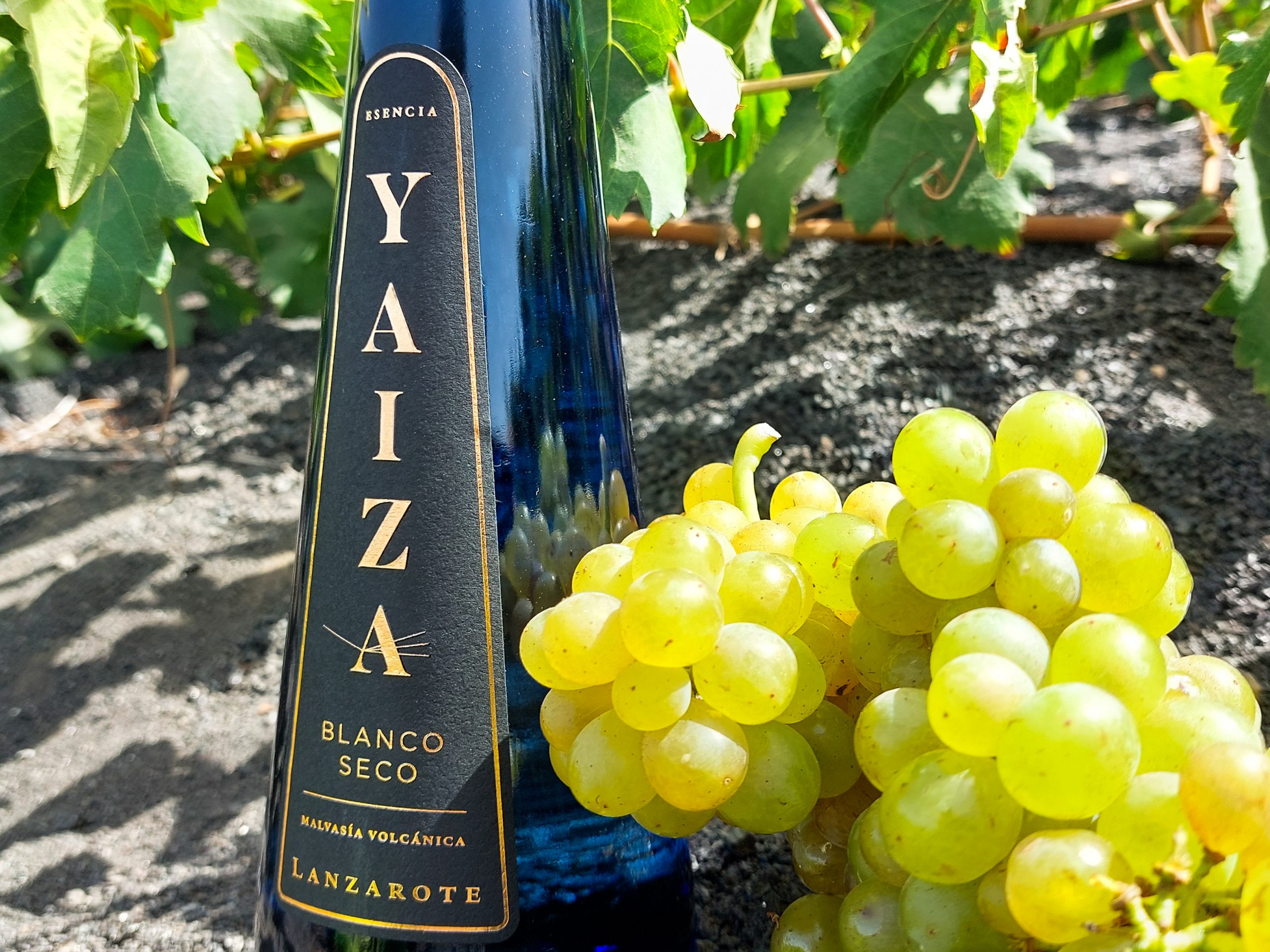 Yaiza blanco seco