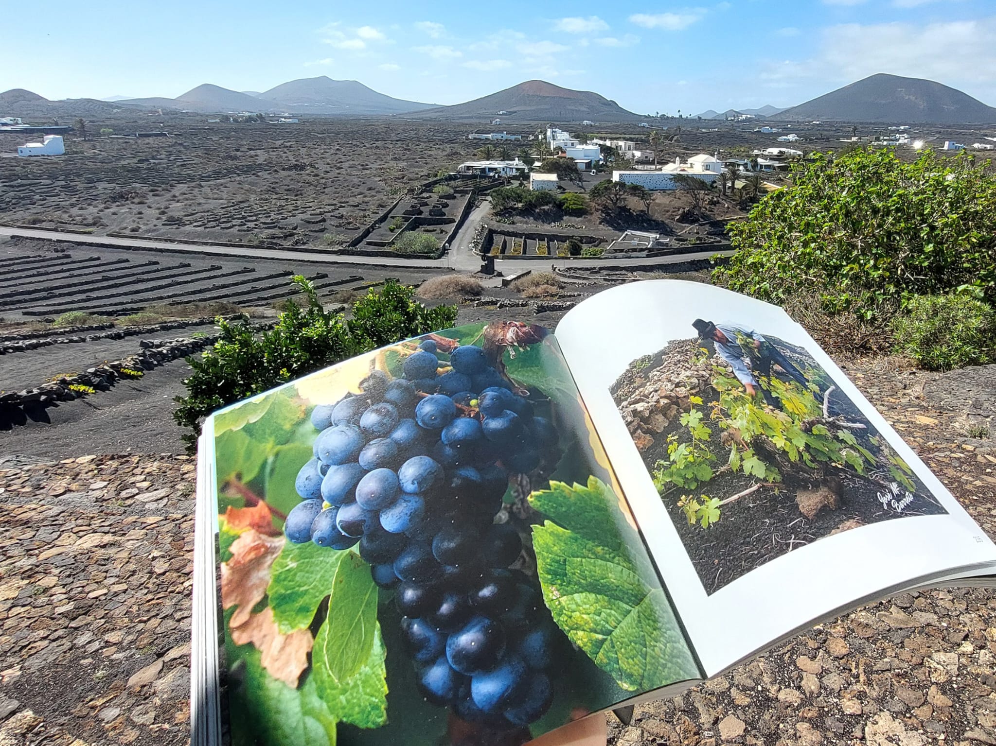 Libro Patrimonio Agrícola
